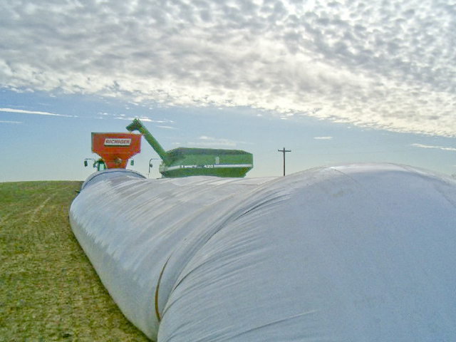 Grain storage bags could help ease the pressure of a bumper crop for some farmers this year, as long as they are used properly. (DTN photo by Dan Davidson) 